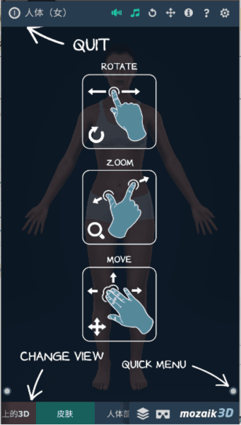 Human body (female)图片1