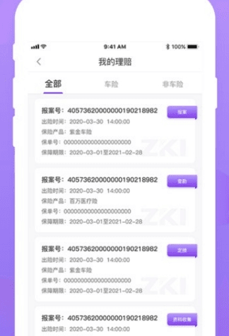 掌上紫金图片2