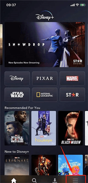 Disney+怎么改中文配图1