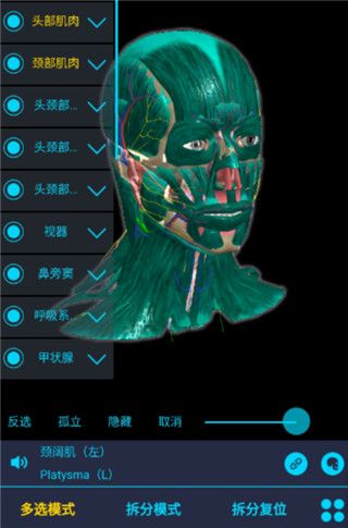 医维度3d人体解剖使用教程2