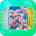 音乐相册助手app