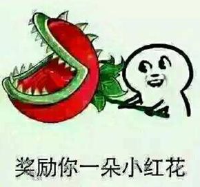 你行你上15