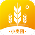 小麦团app