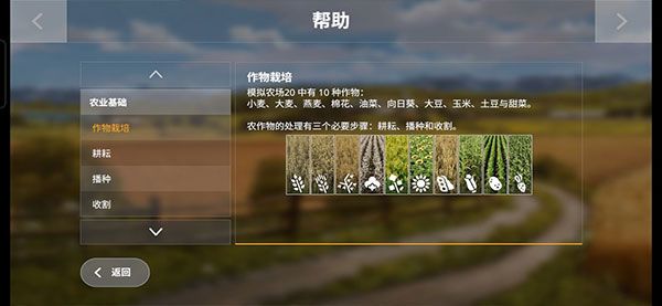 游戏攻略配图17