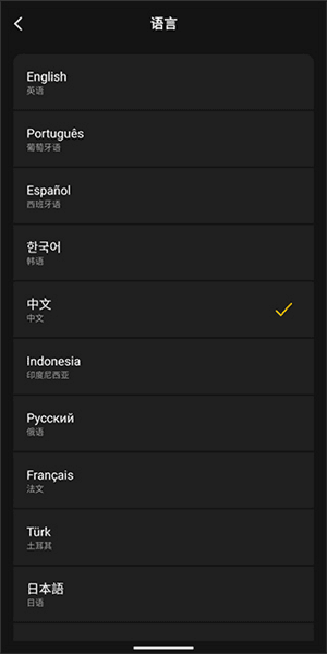 中文设置教程配图4