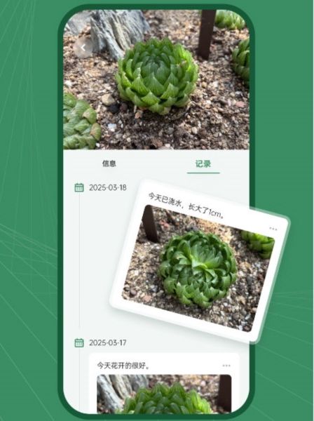 花草志1