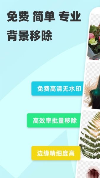 椰子背景宣传图