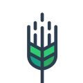 青稞app