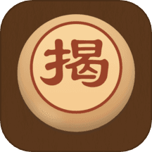 象棋揭棋