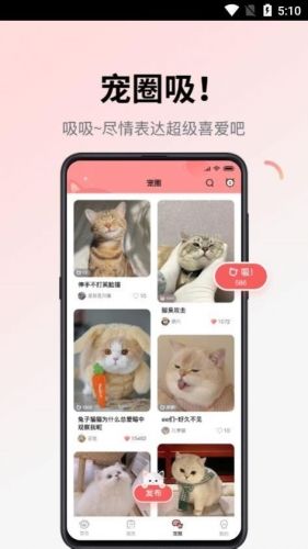 多仔宠物软件宣传图