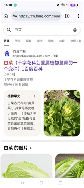 怎么使用配图2