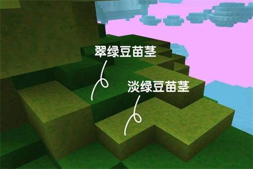 冬天来了!《手工星球》保持四季常青的秘密居然是…… 冬天来了!《手工星球》保持四季常青的秘密居然是……