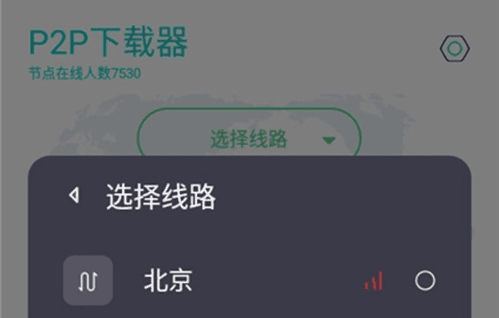 P2P下载器app图片1