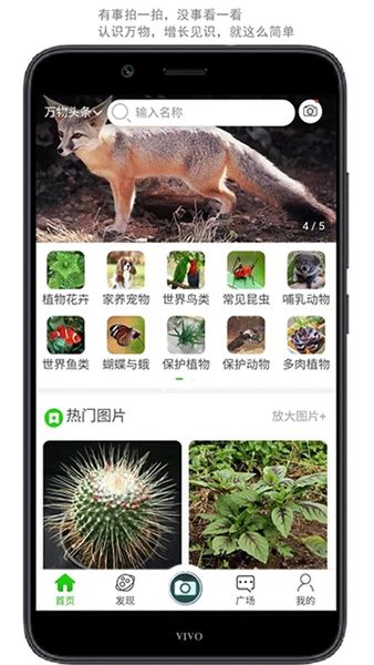 万物识别2