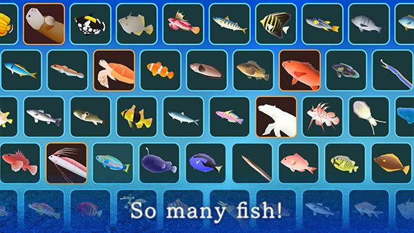 口袋水族馆宣传图