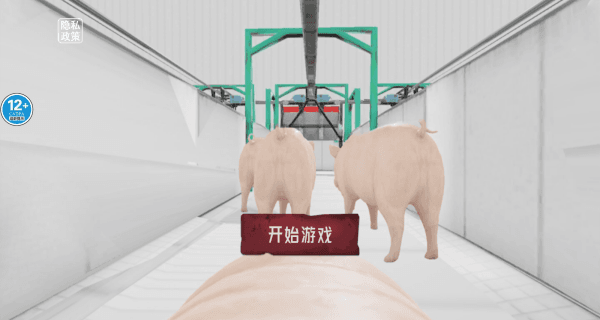 游戏攻略配图1