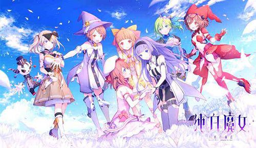 纯白魔女卡牌大全攻略