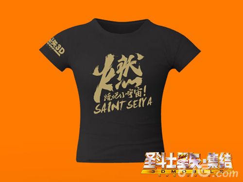 圣斗士星矢:集结周边