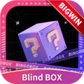 BingoBoxapp