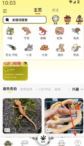 拍个爬如何查看关注的店铺配图1
