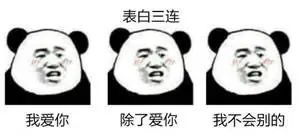 盛世遮天3