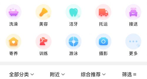 宠胖胖app能托运狗狗吗