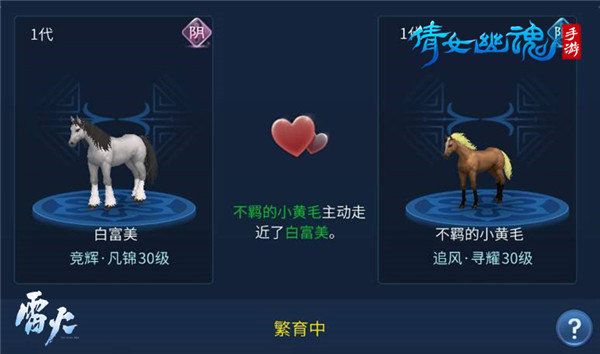 高品质马匹获取攻略配图6