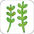 拜师学app