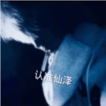 仙泽弱网9.0免费版
