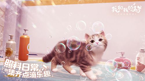 猫咪集结中 西山居休闲社交手游《我和我的猫》测试今日开启 猫咪集结中 西山居休闲社交手游《我和我的猫》测试今日开启