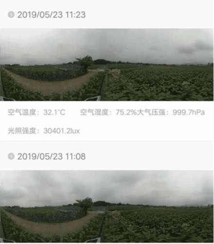 新标农场app