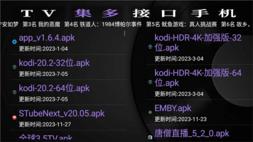 GK之家电视版软件图片2