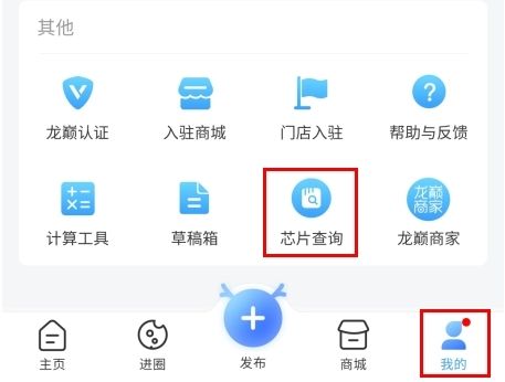 龙巅app10