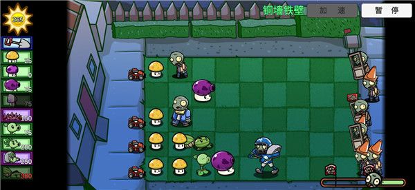 植物介绍配图1