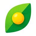 食谱记录app下载_食谱记录最新版下载 v1.0.0官方版
