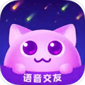 笨笨app