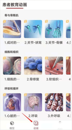 3dbody解剖免费版6