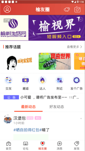 榆树生活网app2