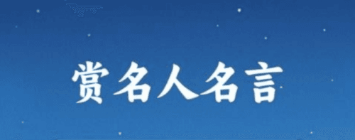 成语金字塔最新版2