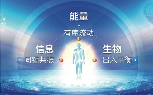 来康生命软件截图2