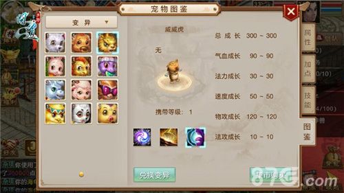 《问道》手游威威虎