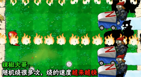 植物介绍配图15
