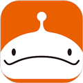 大白鲸app