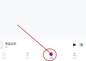 青盐云听怎么导入音乐配图1