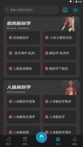 3D肌肉解剖app宣传图