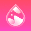 女神手账app