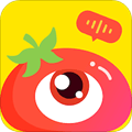 番茄派对app
