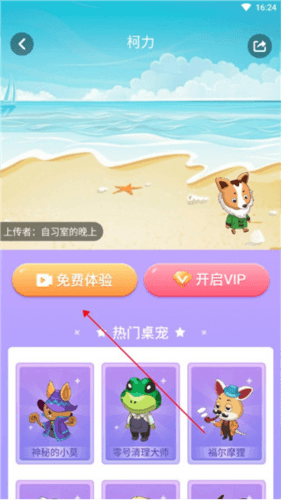 小小桌宠4