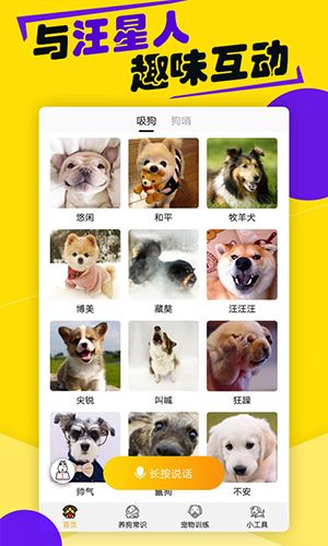语翻译器app1