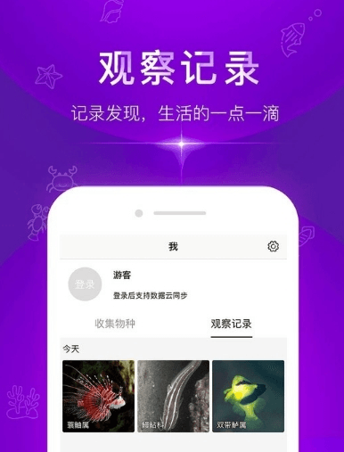 问鱼app3